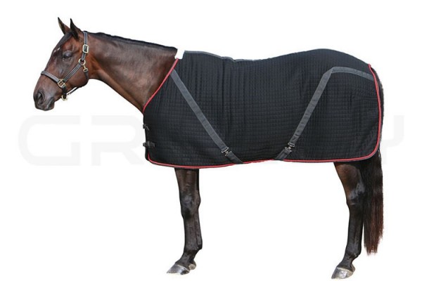 Horse Rugs 